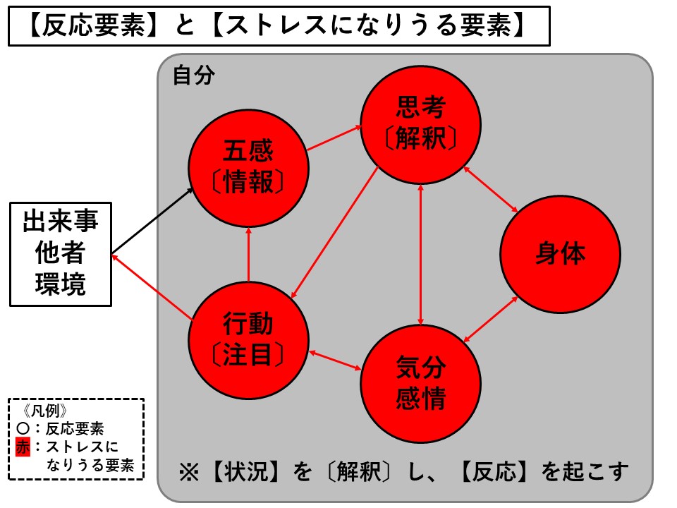 札幌 カウンセリング こころの相談所 ブログ