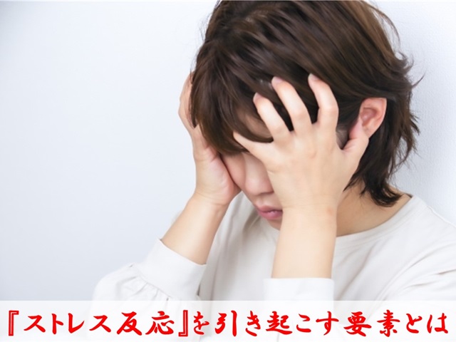 札幌　カウンセリング　こころの相談所　ブログＮＯ２４４