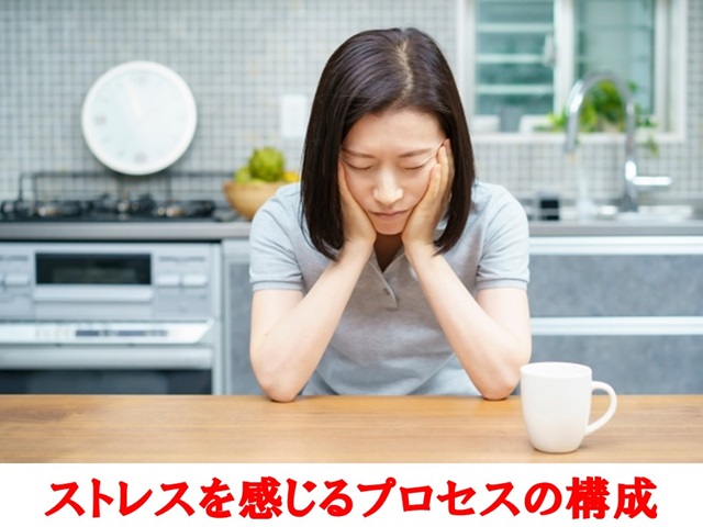 札幌　カウンセリング　こころの相談所　ブログＮＯ２４９