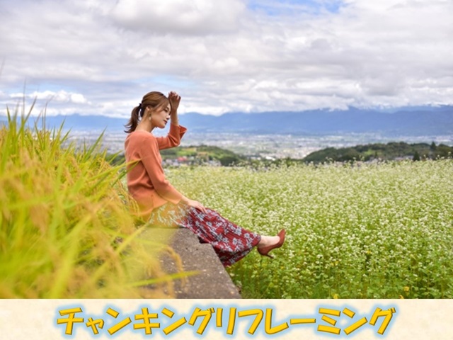 札幌　カウンセリング　こころの相談所　ブログＮＯ２６０