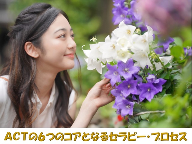 札幌　カウンセリング　こころの相談所　ブログＮＯ２６２