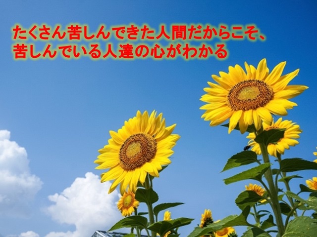 札幌　カウンセリング　こころの相談所　ブログＮＯ４３