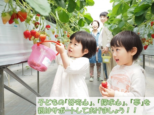 札幌　カウンセリング　こころの相談所　ブログＮＯ８１