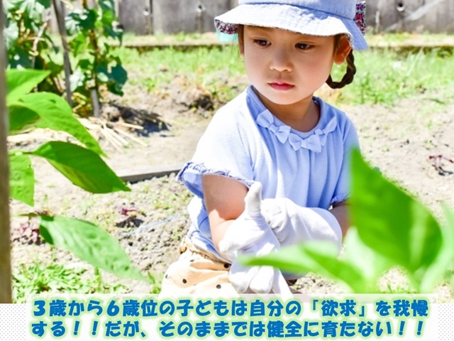 札幌　カウンセリング　こころの相談所　ブログＮＯ８４