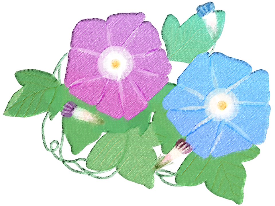 札幌　カウンセリング　こころの相談所　お申込