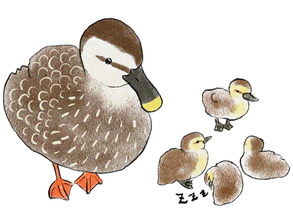 札幌　カウンセリング　こころの相談所　ブログ